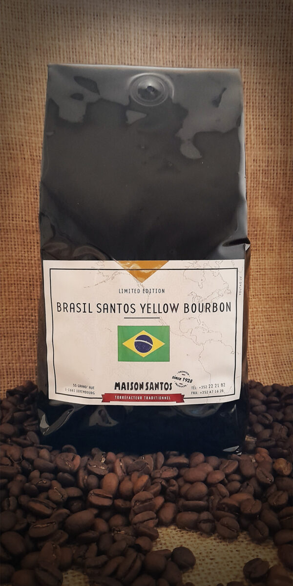 BRAZIL YELLOW BOURBON