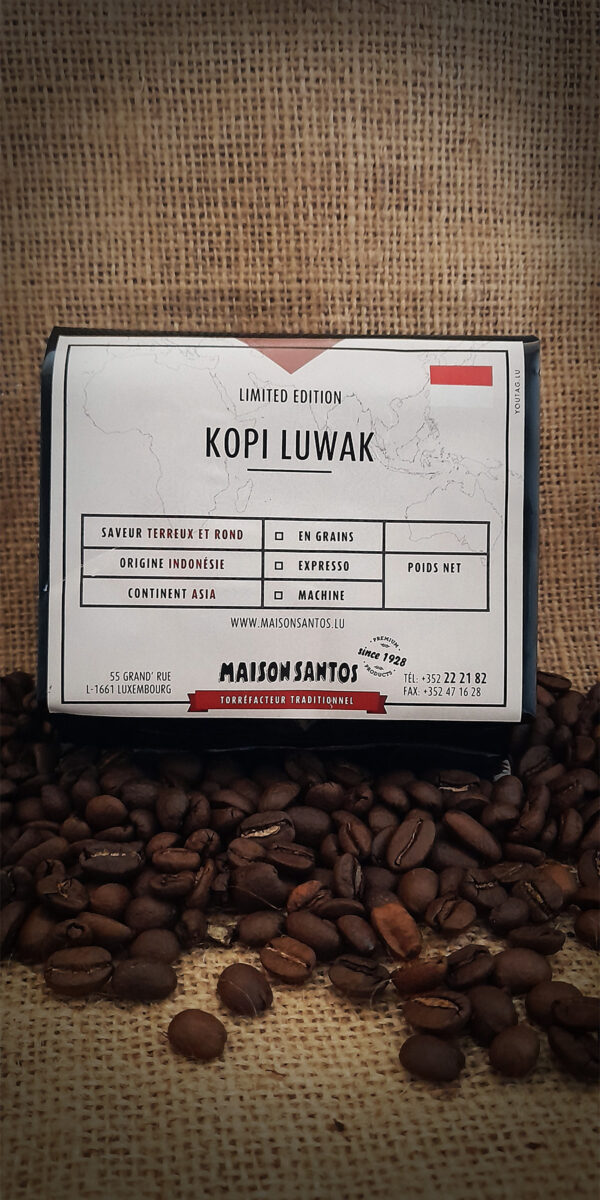 Kopi Luwak