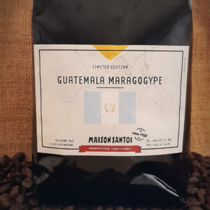 Guatemala Maragogype